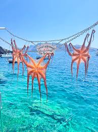 Santorini octopus 